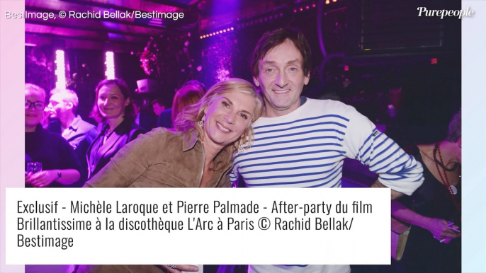 Michèle Laroque amie avec Pierre Palmade, une relation "pas facile"