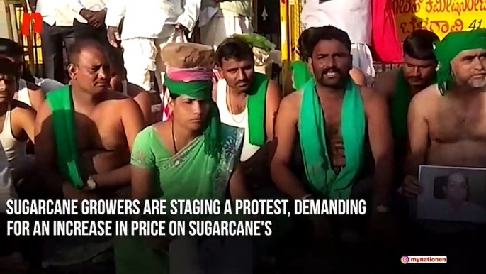 Farmers protest demanding raise in price of sugarcane in Bagalkot, Karnataka