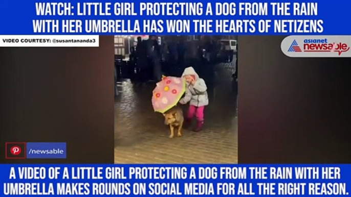 Watch: Little girl protecting a dog from the rain with her umbrella has won the hearts of netizens