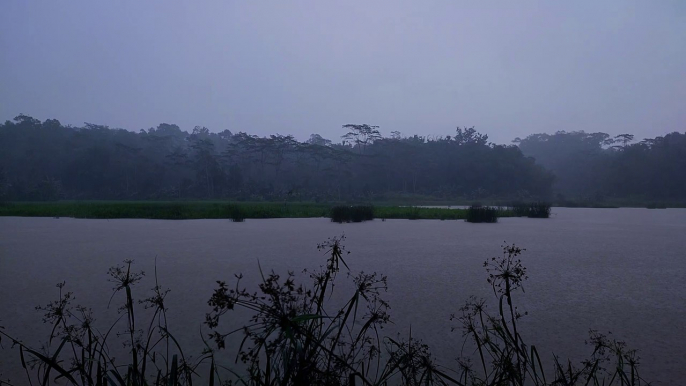 Solo Camping In Heavy Rain, Camping and Relax By The Lake, ASMR