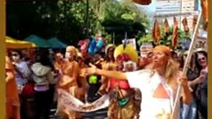 Protesto contra a mineração na Serra do Curral, conduzida pelo grupo Boi Rosado, na Feira de Artesanato da Avenida Afonso Pena neste domingo (29/5)