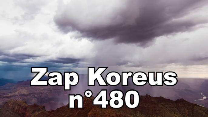 Zap Koreus n°480