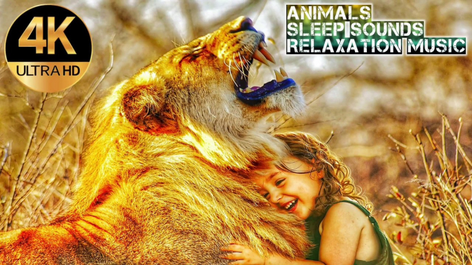 Animals Relaxing Project With Sleep Sounds, Meditation Music, (calming song) Mind relaxation Music, soothing sleep sounds,