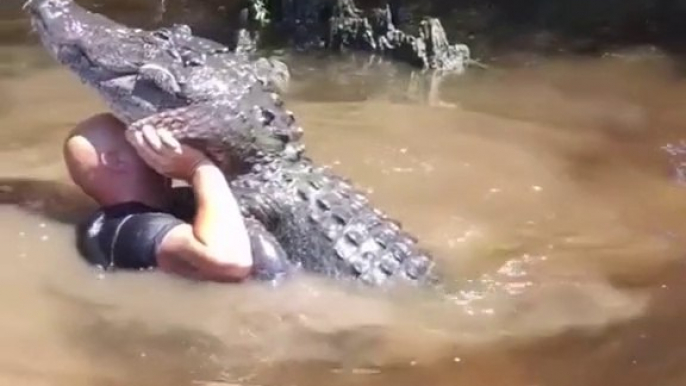 Un homme plonge dans les marécages et soulève un alligator sauvage