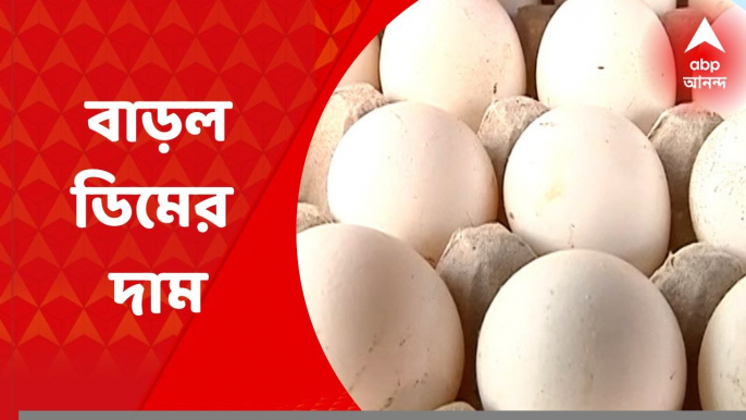 Egg Price Hike: একমাসের ব্যবধানে ফের বাড়ল ডিমের দাম। আজ থেকে ডিমের দাম বেড়ে হল ৭ টাকা। Bangla News