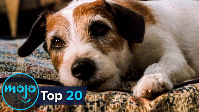 Top 20 Saddest Animal Deaths in Movies