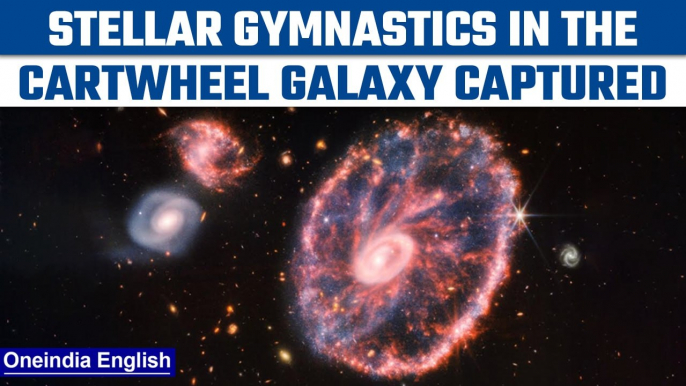 NASA: James Webb Space telescope captures the image of rare Cartwheel galaxy | Oneindia news *Space