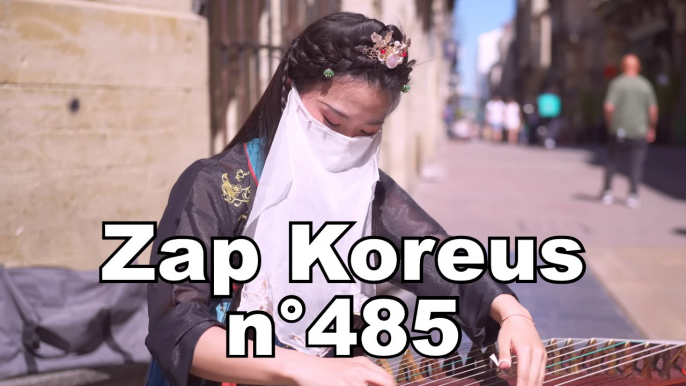 Zap Koreus n°485