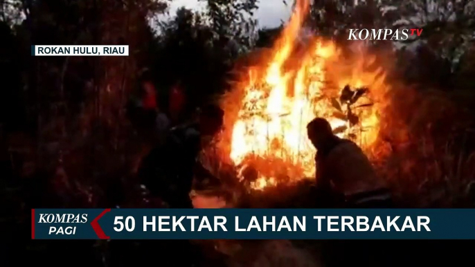 50 Hektar Lahan Terbakar, Pemadaman Terkendala Peralatan dan Akses Jalan