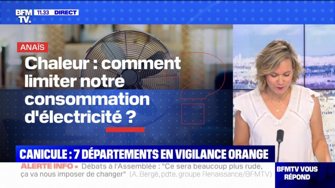 Chaleur: comment limiter notre consommation d'électricité ? BFMTV répond à vos questions