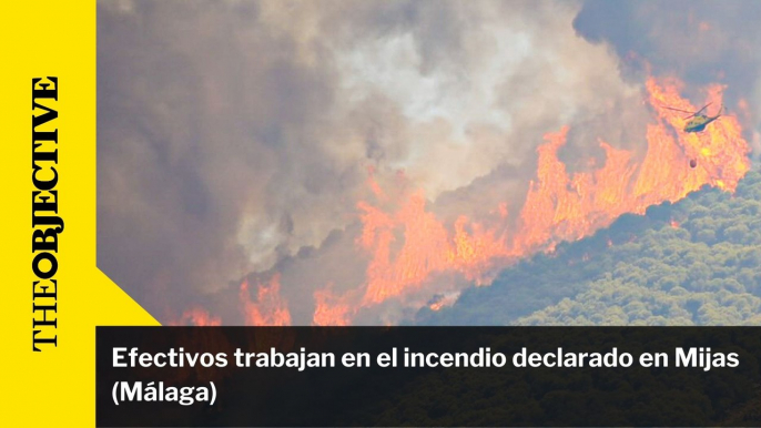 Efectivos trabajan en el incendio declarado en Mijas (Málaga)