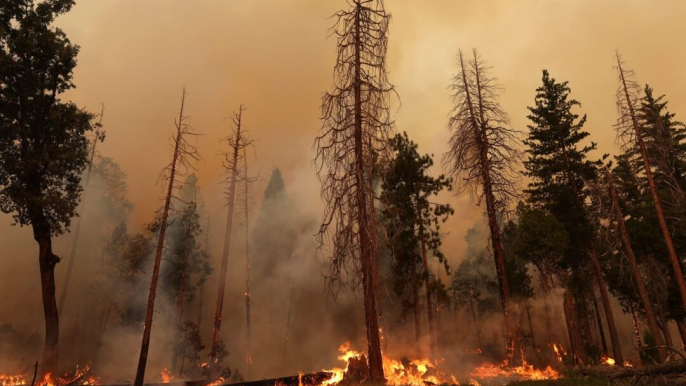 California Wildfires Prompt State of Emergency  Evacuations  and Park Closures   What to K