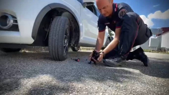 Vibo Valentia - Carabinieri salvano gattino incastrato nel motore di un'auto (08.08.22)