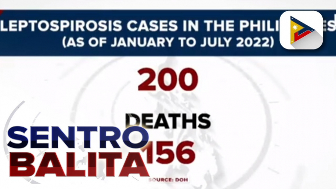 Nasawi dahil sa Leptospirosis ngayong taon, umabot na sa 156 ayon sa DOH; 7 rehiyon sa bansa, nakikitaan ng pagtaas ng kaso ng dengue