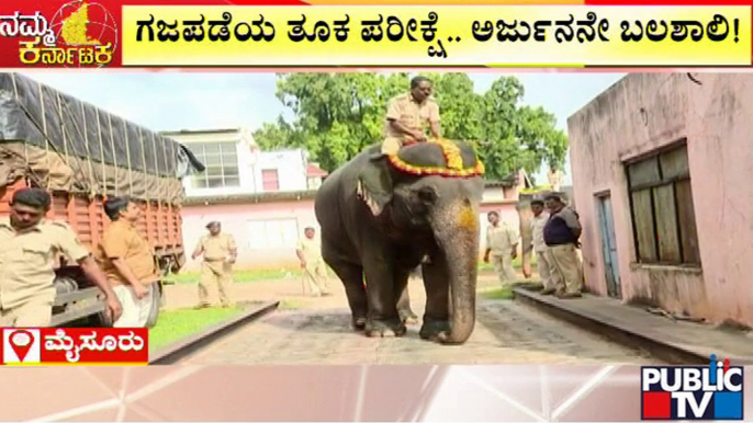 10 ಆನೆಗಳಲ್ಲಿ ಅರ್ಜುನ ಆನೆಯೇ ಫುಲ್ ಸ್ಟ್ರಾಂಗ್ | Mysuru | Elephant Weighing | Dasara | Public TV