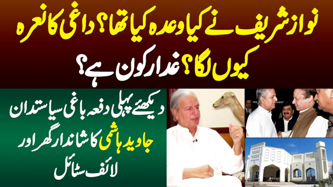 Nawaz Sharif Ne Kya Wada Kiya tha? Daghi Ka Nara Kyu Laga? Ghaddar Kon Hai? Javed Hashmi Life Style