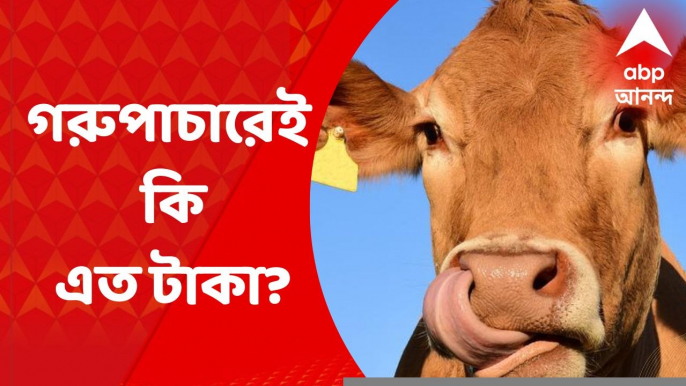 Cow Smuggling Case: অনুব্রতর কোটি কোটি টাকা বাজেয়াপ্ত, কোথা থেকে এল এত টাকা?