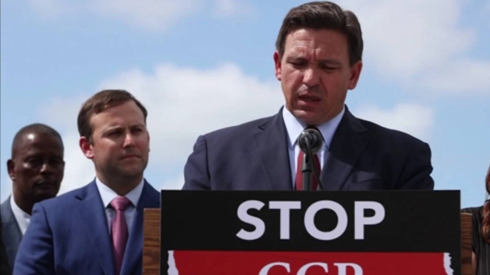 Florida Judge Partially Blocks DeSantis' 'Stop WOKE Act'