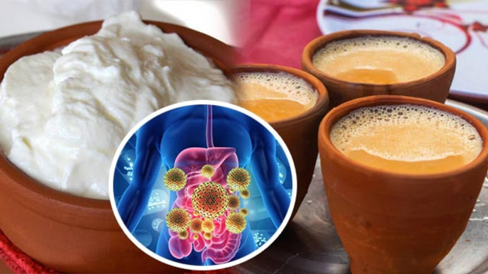 दही खाने के बाद चाय पीने से क्या होता है ? Dahi Khane Ke Bad Chai Peene se kya hota hai  *Health