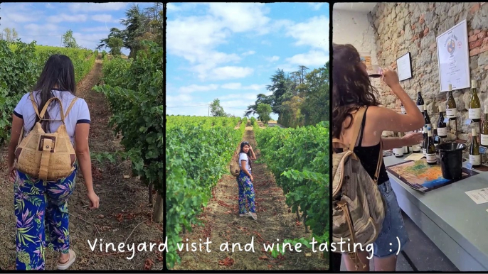 Vineyard visit and wine tasting Amazing Experience