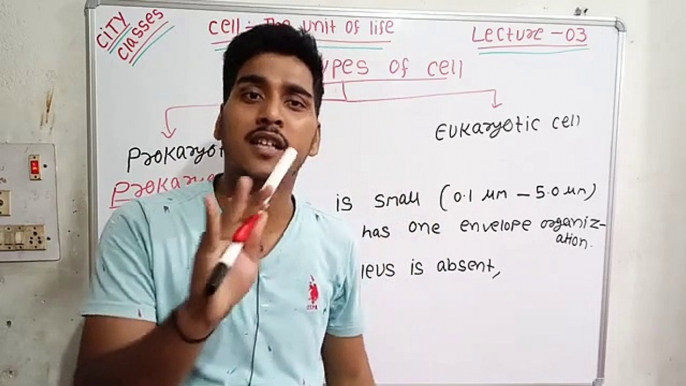 Unicellular organisms | multicellular organisms | prokaryotic cells | eukaryotic cells