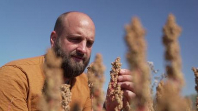 German farmers plant new crops against drought