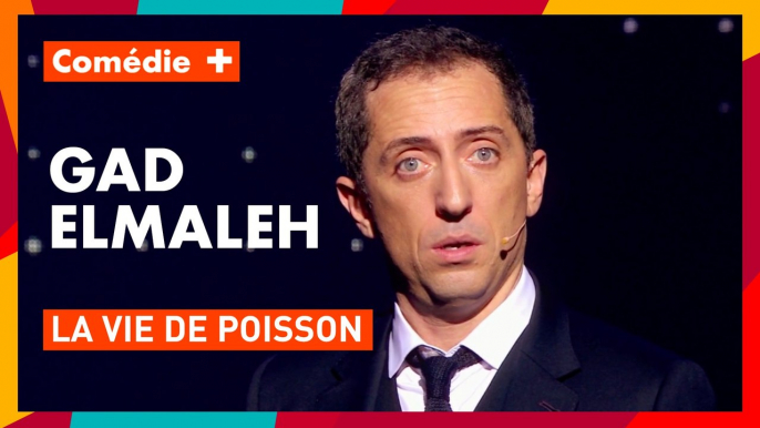 Pour Gad Elmaleh les poissons sont bêtes - 20 ans de scène - Comédie+