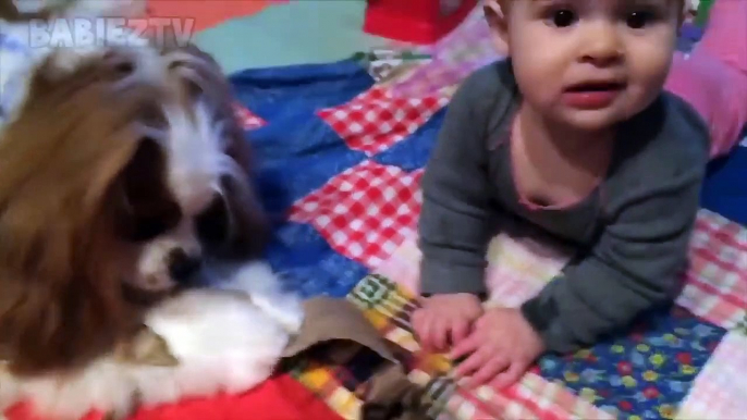 Bébés mignons jouant avec des chiens et des chats