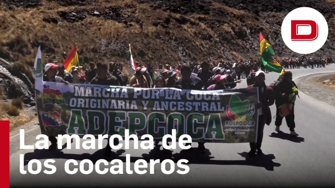 Miles de cocaleros marchan para cerrar «con sus propias manos» el mercado paralelo en La Paz