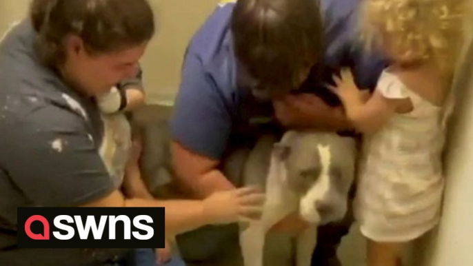 Heartwarming moment pup missing for nearly a year reunites with family thanks to microchip tracking