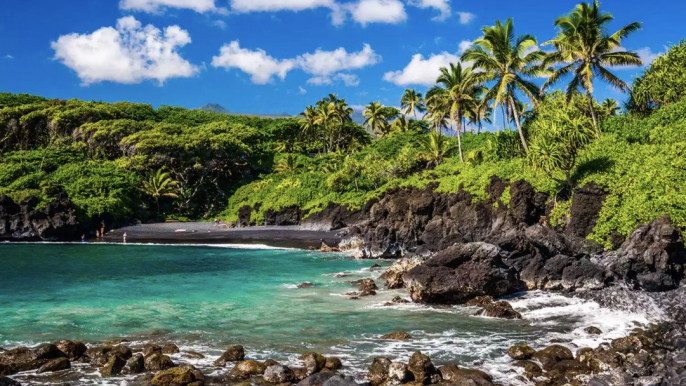 Man and Woman from Calif. Drown in 6-Ft. Waves While Vacationing in Maui, Officials Say