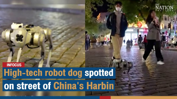 High-tech robot dog spotted on street of China's Harbin | The Nation