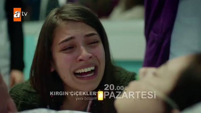 Kırgın Çiçekler 77.Bölüm Fragmanı