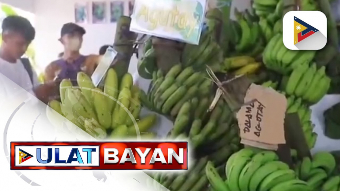 Iba't ibang klase ng saging, ibinida sa 36th Sagingan Festival sa Tubod, Lanao Del Norte