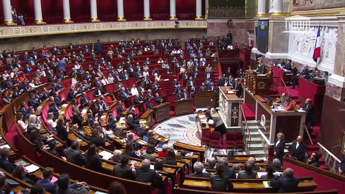 La Première ministre Elisabeth Borne active le recours à l'article 49.3 et "engage la responsabilité du gouvernement" sur le projet de loi de finances