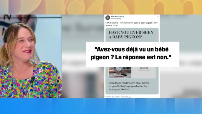 Le choix d'Angèle - "Les oiseaux ne sont pas réels", la parodie d'une théorie du complot qui se moque de la désinformation