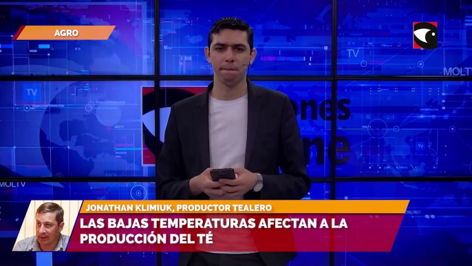 Las bajas temperaturas afectan a la producción del Té