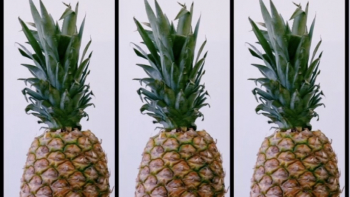 Faits intéressants à connaître sur l'ananas