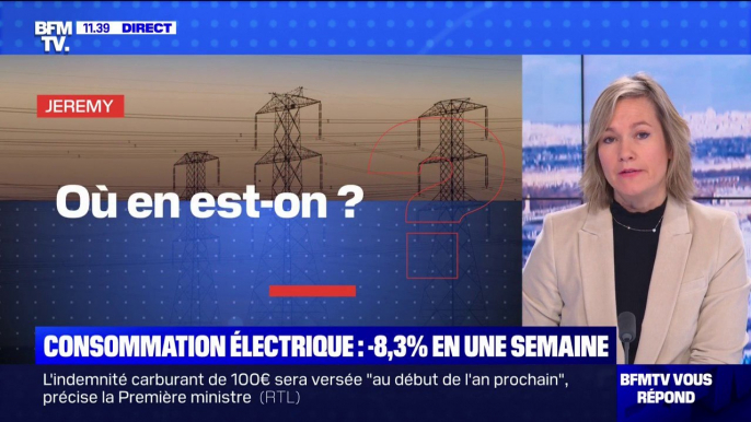 Consommation électrique en France: où en est-on? BFMTV répond à vos questions