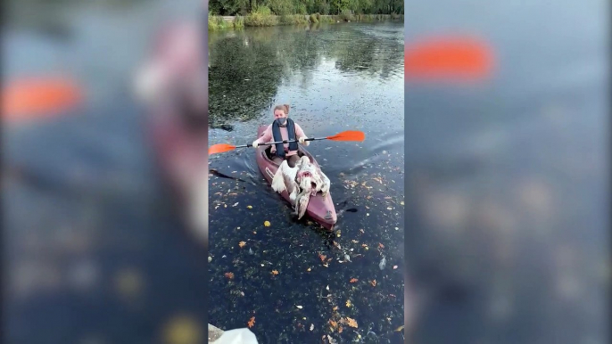 Swan rescuers recover more than two dozen dead swans and birds in London park. Credit: SWNS