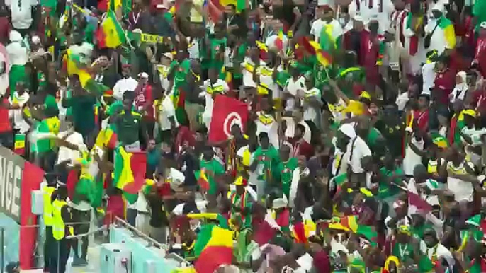Qatar vs Senegal - 2022 FIFA World Cup Group A -  Extended Highlights