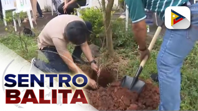 CSC, nagsagawa ng ceremonial tree planting sa kanilang central office; indigenous fruit bearing trees, kabilang sa mga itinanim