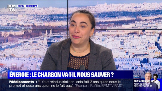 Réouverture de la centrale à charbon de Saint-Avold: "On est à contre-temps de l'Histoire", estime la députée EELV Sabrina Sebaihi