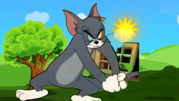 tom and jerry cartoon