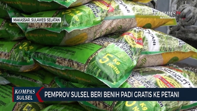 Pemprov Sulsel Luncurkan Mandiri Benih Tahap Dua 2.500 Ton