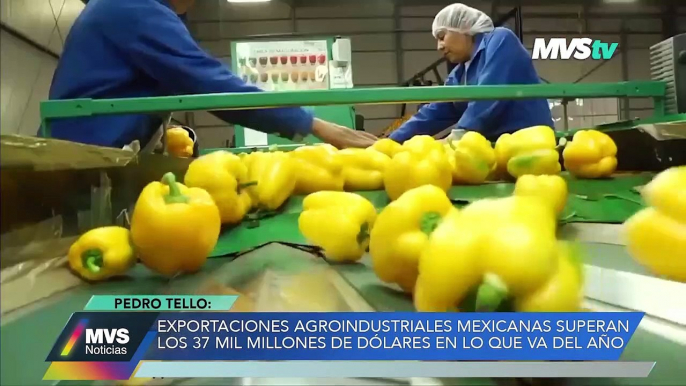 Economía y finanzas con Pedro Tello - La cerveza y el tequila, los productos con mayor número de exportaciones mexicanasMVS Noticias 2 dic 2022