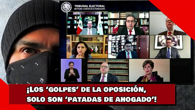 ¡Los ‘golpes’ de la oposición, solo son ‘patadas de ahogado’!