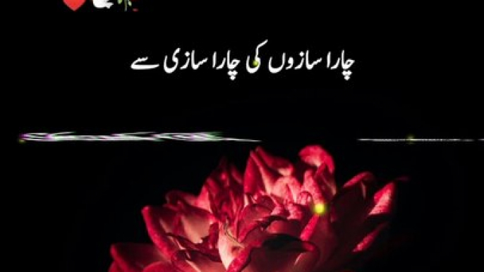 Sad Poetry Lines By Jhon Elia - Famous Poetry Lines - Best Poetry Lines #foryou #viralvideos #trending #hitshairy #hitpoetry #lovepoetry #Sadpoetrylines