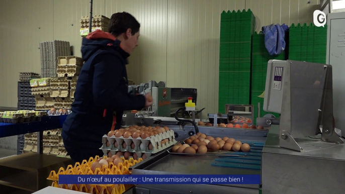 Reportage - Transmission à la ferme l'œuf du Vercors