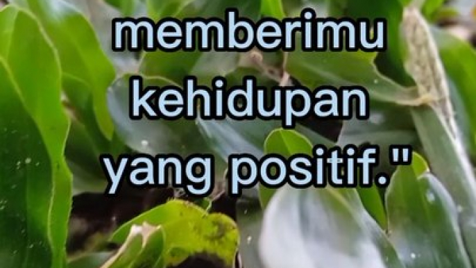 Motivasi hidup,sukses, positifthinking#dailymotion#foryoupage